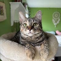 Sitter Profile Image: Rebecca J.