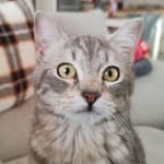 Sitter Profile Image: Maeva D.