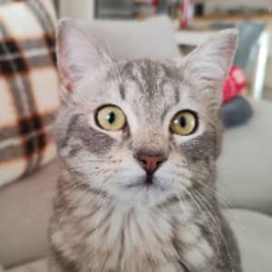 Sitter Profile Image: Maeva D.