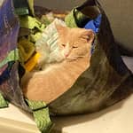 Sitter Profile Image: Wendy W.