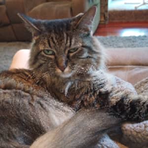 Sitter Profile Image: Elizabeth H.