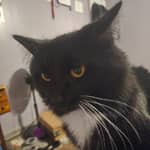 Sitter Profile Image: Kayla M.