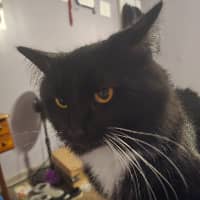 Sitter Profile Image: Kayla M.