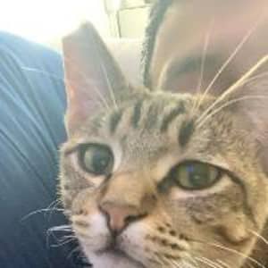 Sitter Profile Image: Kinan C.