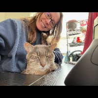 Photo de profil du pet sitter : Laura L.