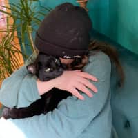 Sitter Profile Image: Jamie L.