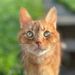 Sitter Profile Image: Treanne K.