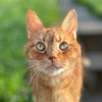 Sitter Profile Image: Treanne K.