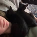 Sitter Profile Image: Ashton A.