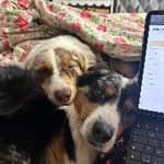 Sitter Profile Image: laure D.