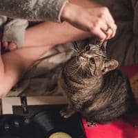 Sitter Profile Image: Chyna S.