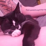 Sitter Profile Image: Rylie R.