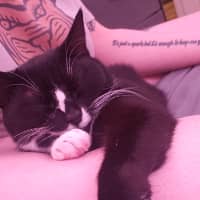 Sitter Profile Image: Rylie R.