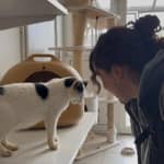 Sitter Profile Image: Valentina Q.