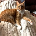 Sitter Profile Image: Lesley C.