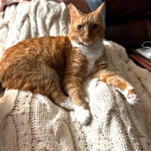 Sitter Profile Image: Lesley C.