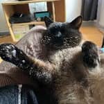 Sitter Profile Image: Claire F.