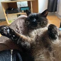 Sitter Profile Image: Claire F.