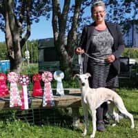 Profilbilde av hundepasser: Carina Svemo S.