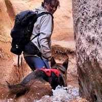 Sitter Profile Image: Shannon C.