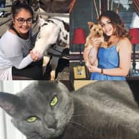 Sitter Profile Image: Jazmine T.