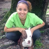 Sitter Profile Image: Bruny G.