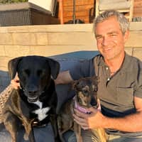 Sitter Profile Image: Daniel K.