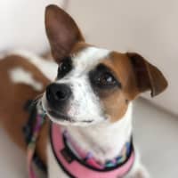 Sitter Profile Image: Annmarie M.