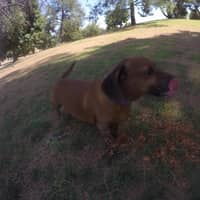 Sitter Profile Image: Anna U.