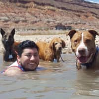 Sitter Profile Image: Jason Pace W.