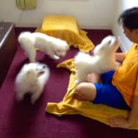 Sitter Profile Image: Eric R.