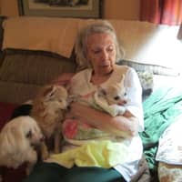 Sitter Profile Image: Jean B.