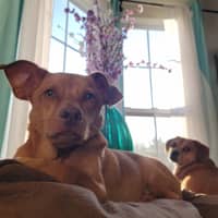 Sitter Profile Image: Selamawit C.