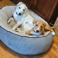 Sitter Profile Image: Jenna N.