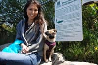 Sitter Profile Image: Vanessa B.