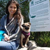 Sitter Profile Image: Vanessa B.