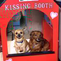 Sitter Profile Image: Amy W.