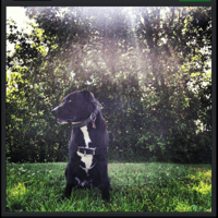 Sitter Profile Image: Jenny J.