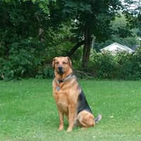 Sitter Profile Image: Anthony W.