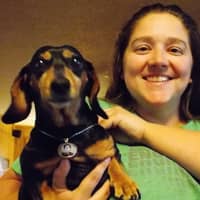 Sitter Profile Image: Katie T.