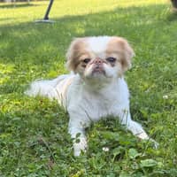 Sitter Profile Image: Evelyn M.