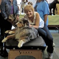 Sitter Profile Image: Susan I.