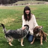 Sitter Profile Image: Sarah D.