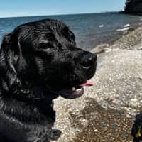 Sitter Profile Image: Jeana K.