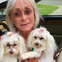 Sitter Profile Image: Sandi H.