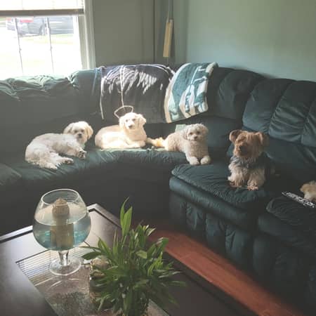 Sitter Profile Image: Jennifer O.