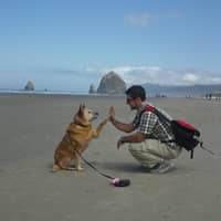 Sitter Profile Image: Philip G.