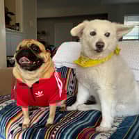 Sitter Profile Image: Angela S.