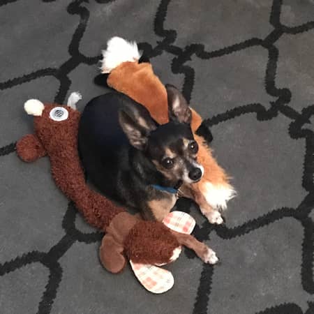 Sitter Profile Image: Elena E.