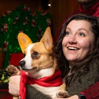 Sitter Profile Image: Bethany B.